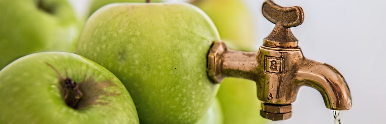 Sucul de mere: Cum se obtine corect, beneficii pentru organism, reguli de consum
