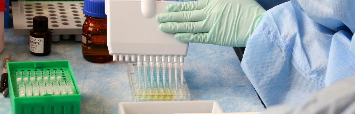 Virusul Nipah: Simptome, rata de mortalitate, preventie si tratament