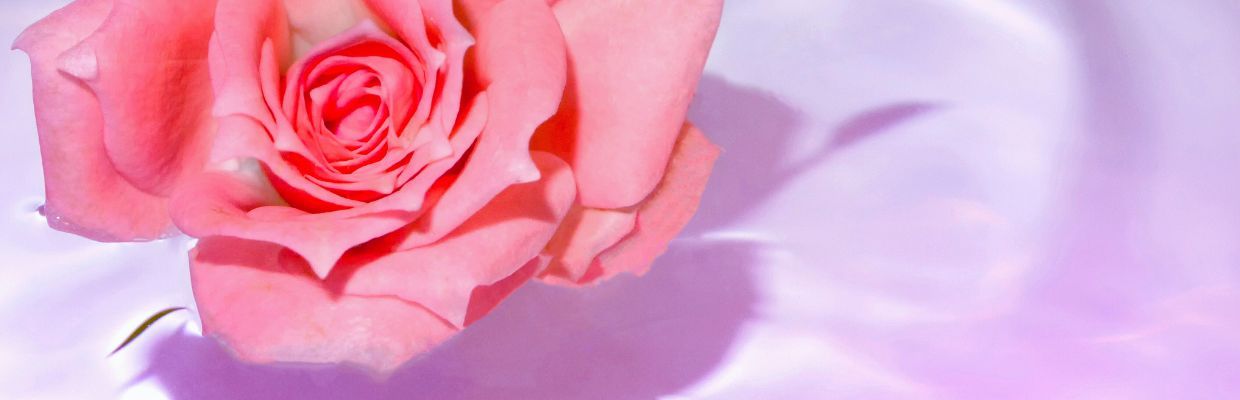 Apa de trandafiri: un elixir natural pentru frumusete si sanatate