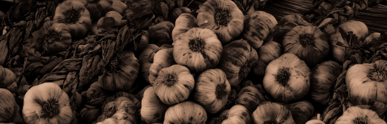 Usturoiul negru: Cum se cultiva, beneficii pentru organism, contraindicatii de consum