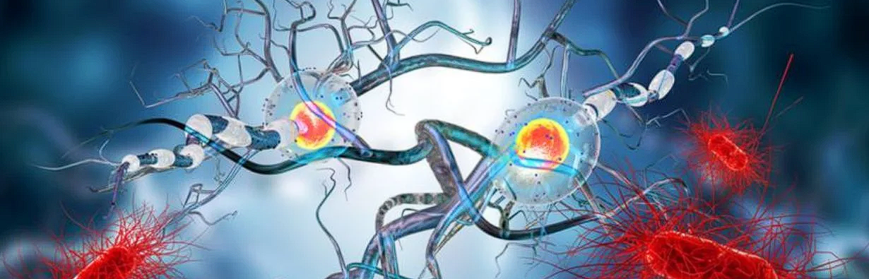Colesterolemia: Care sunt simptomele, preventie si tipuri de tratament