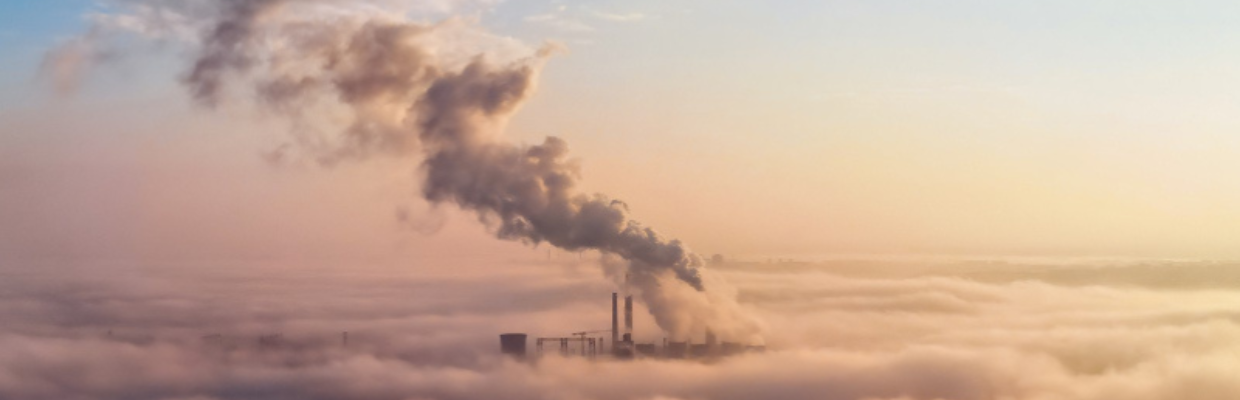 Carcinogeni: Surse comune si cum ne putem proteja
