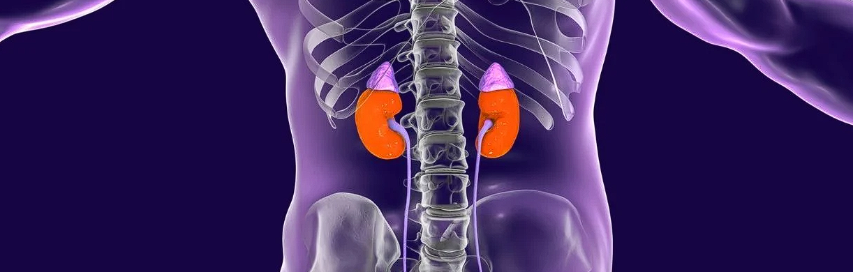 Gastroscopia: Ce este, cand este necesara, ce trebuie sa stim inainte