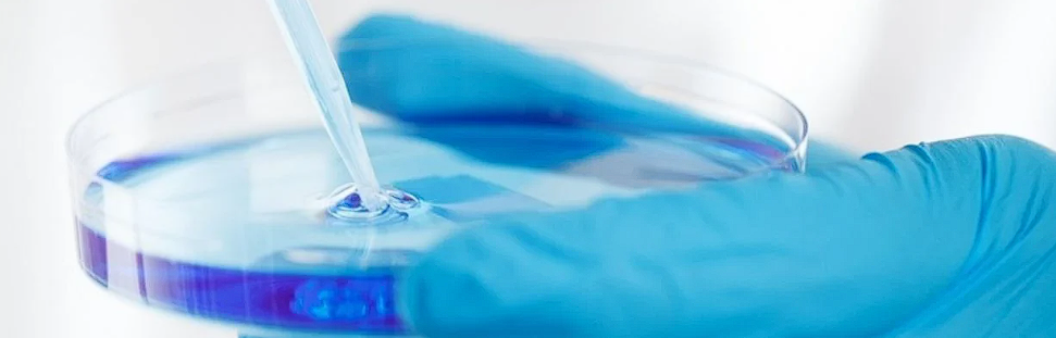 Helicobacter pylori: Cum sa depistezi si sa tratezi infectia bacteriana a stomacului
