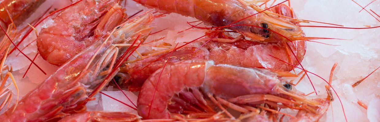 Uleiul de krill: Beneficii pentru organism datorita continutului de acizi grasi de tip Omega 3 si Omega 6