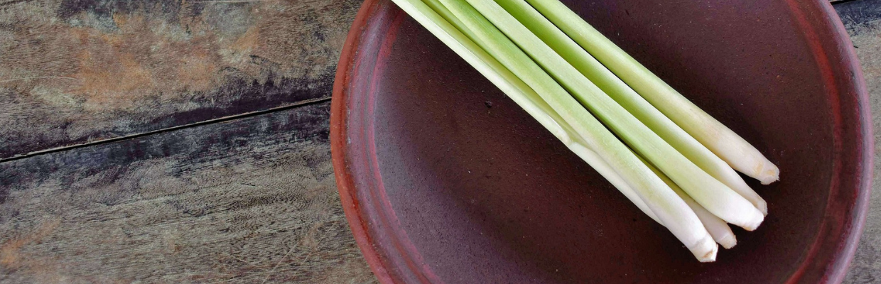Lemongrass: efecte digestive, antiseptice si anti-insecte. Cum il alegi