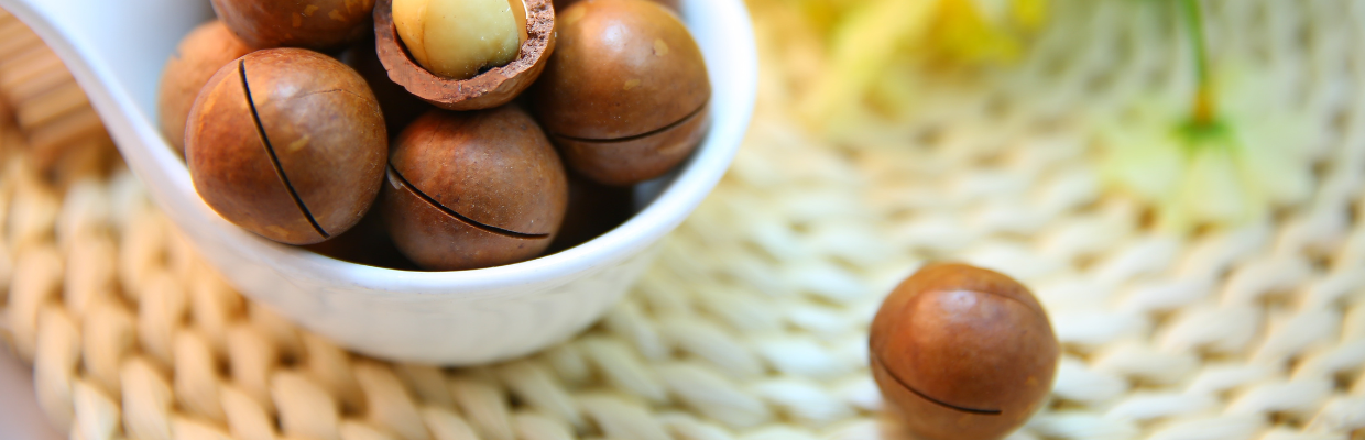 Uleiul de macadamia: proprietati, beneficii, contraindicatii
