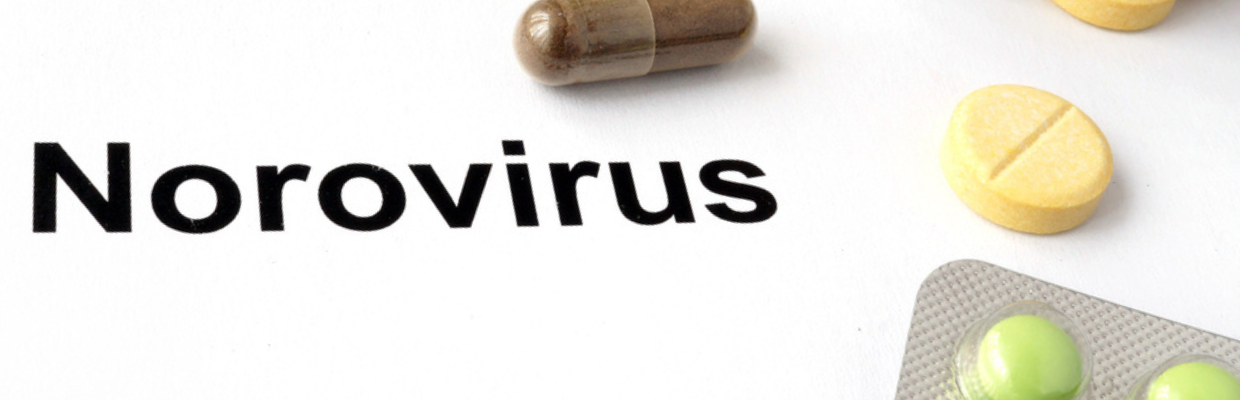 Norovirus: simptomele infectiei, preventie si tratamentul gastroenteritei acute