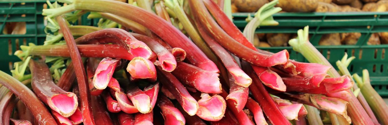 Rubarba: Cum recunosti planta, cum se prepara, beneficii pentru organism