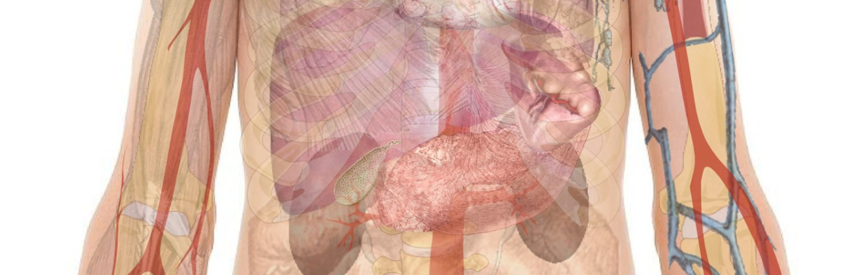 Obstructia intestinala: Cauze, simptome si tipuri de tratament