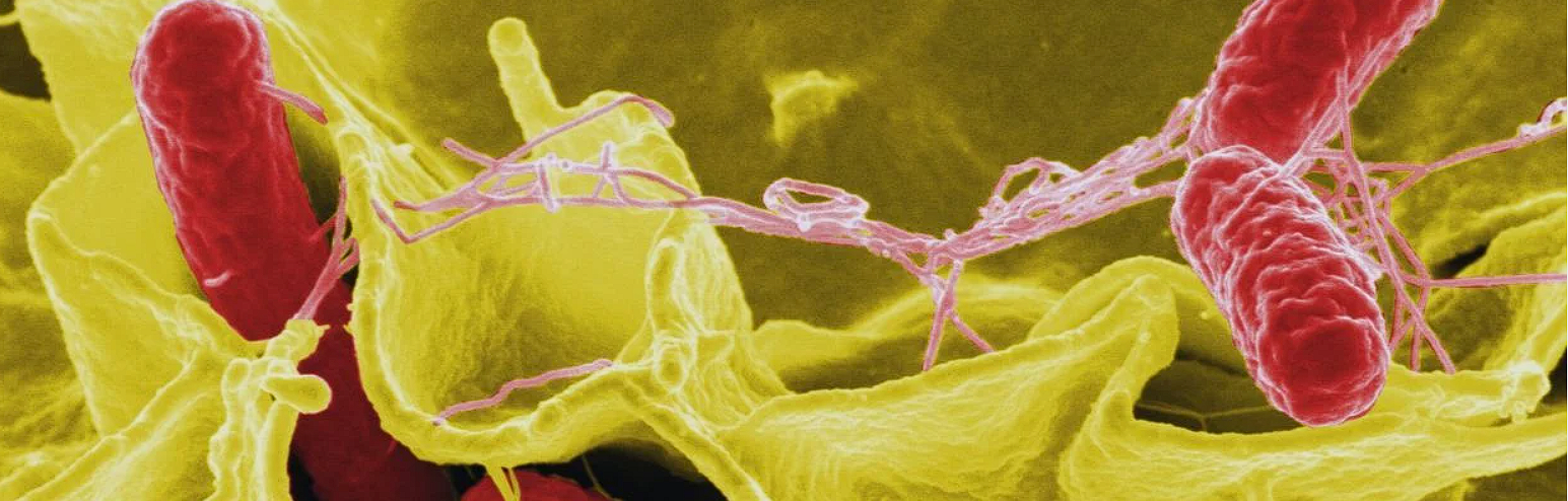 Azoospermia: cauze, diagnostic si optiuni de tratament