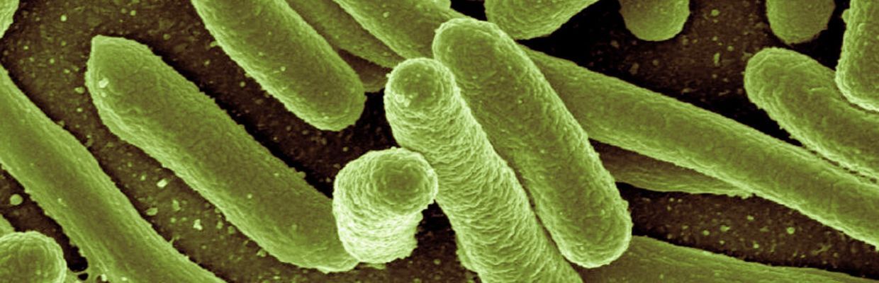 Toxiinfectiile alimentare: Masuri de prim ajutor pentru a reduce simptomele