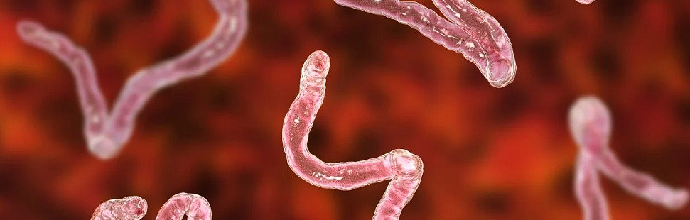Vaccinarea antitetanos: De ce este importanta, care sunt pericolele daca nu se efectueaza
