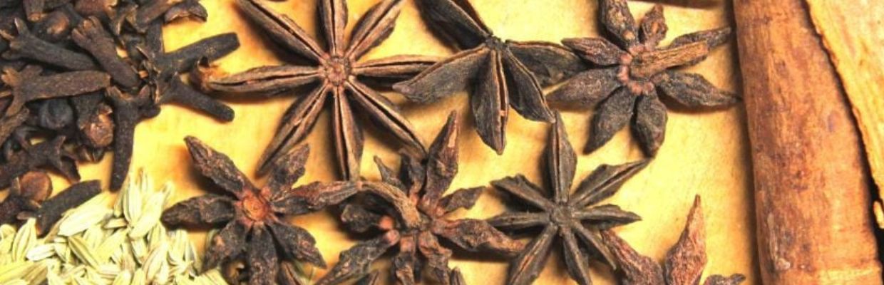 Anason: Cum il recunosti, intrebuintari, beneficii organism