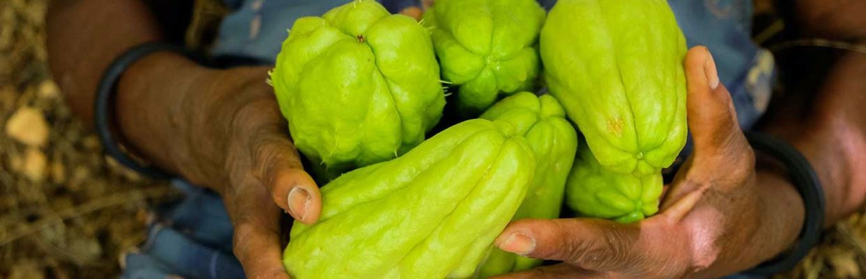 Chayote: O leguma exotica cu multiple beneficii pentru inima si digestie