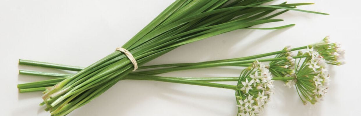 Nutritie: Ce este leurda, cum se poate consuma