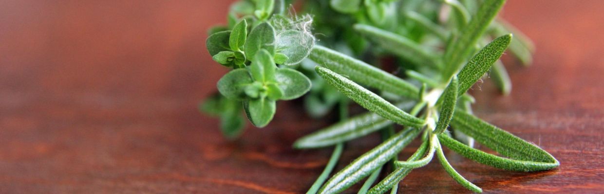 Cimbrul de gradina: Cum se foloseste, beneficii pentru organism