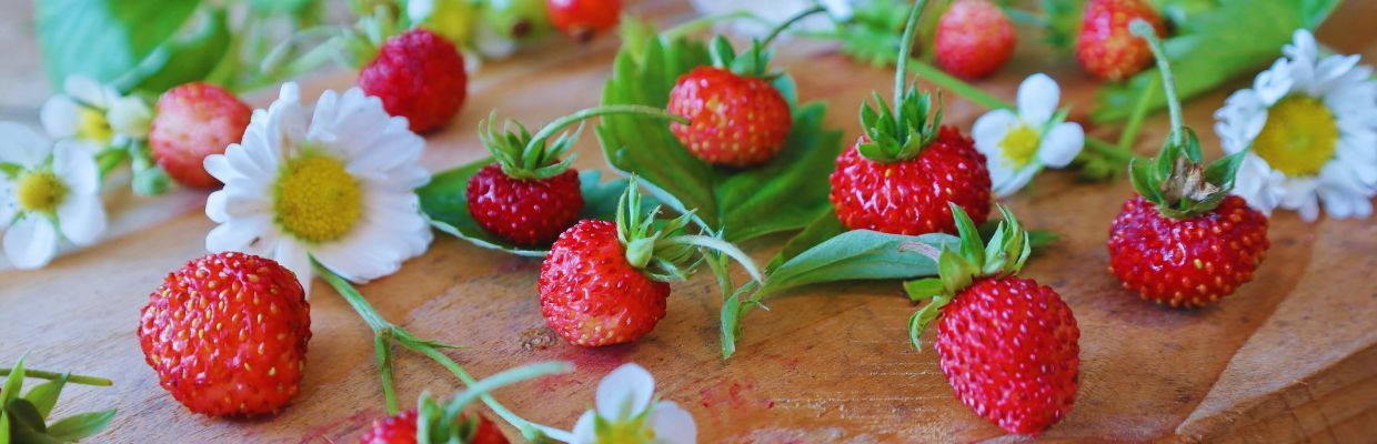 Nutritie: Care sunt beneficiile consumului de fragi