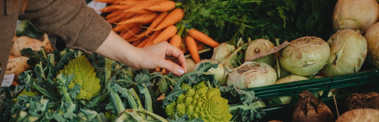 Catalizatorii metabolici: Ce sunt, cum ii recunosti, cum te ajuta sa arzi grasimile