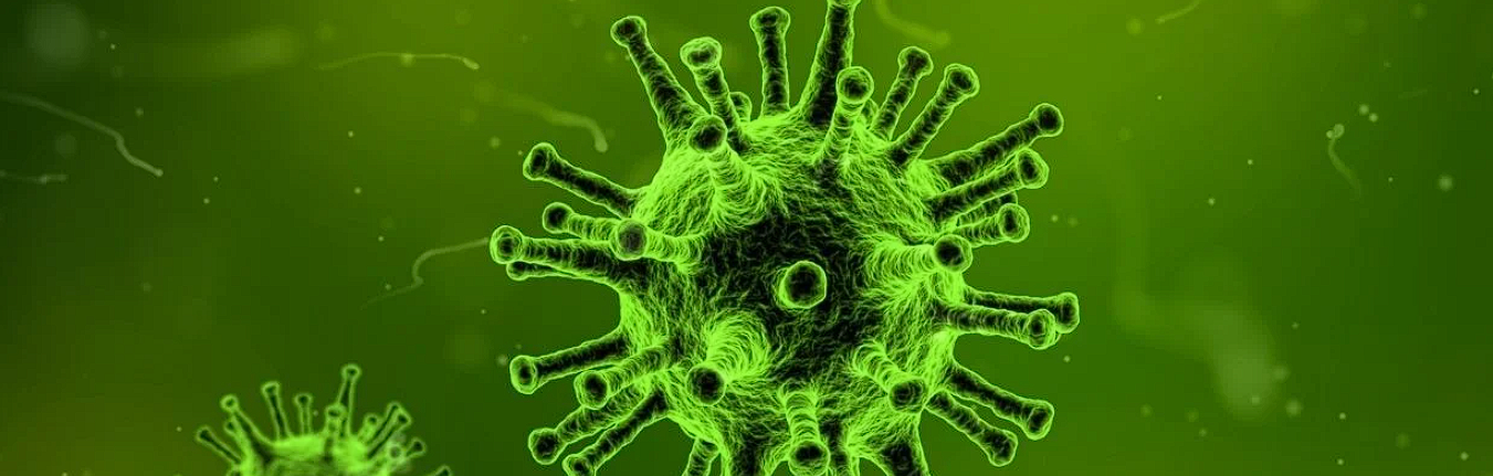 Vaccin impotriva Hepatitei A: Cand se poate administra, contraindicatii