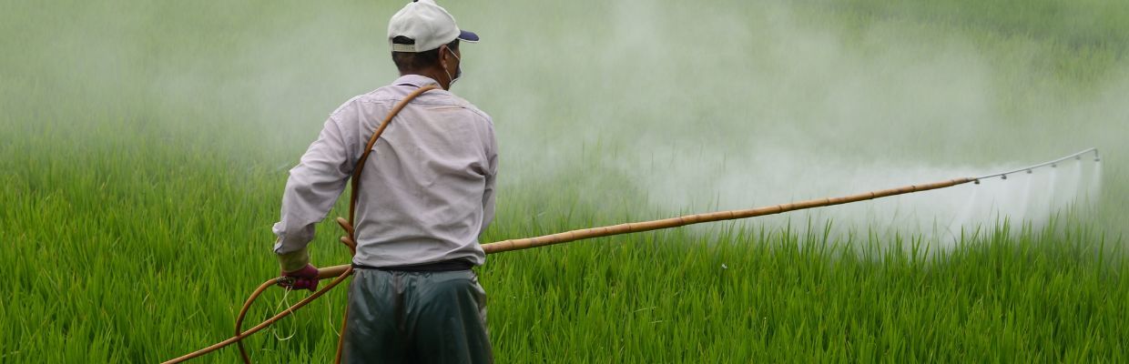 Intoxicatia cu pesticide: Cat de periculoasa este pentru organism, metode de tratament