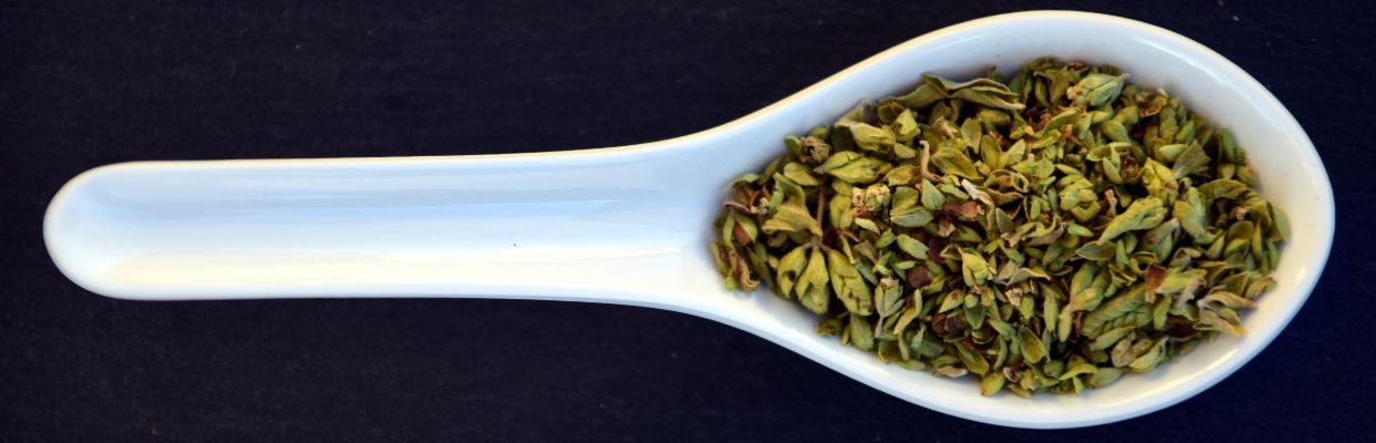 Oregano: proprietati ale plantei, beneficii organism, contraindicatii de folosire