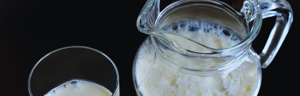 Laptele de Magarita: Cum trebuie consumat si beneficii pentru organism