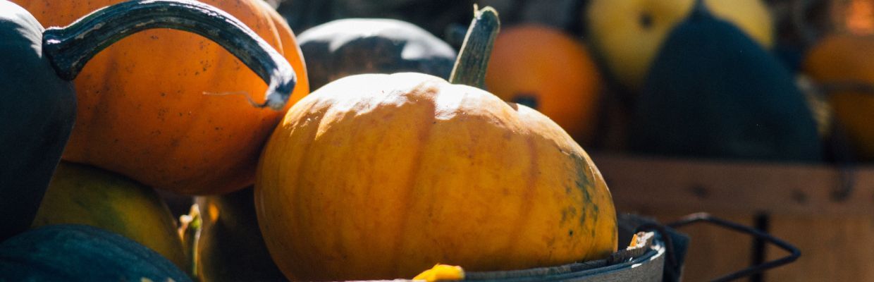 Nutritie: Beneficiile pentru consum ale dovleacului, contraindicatii