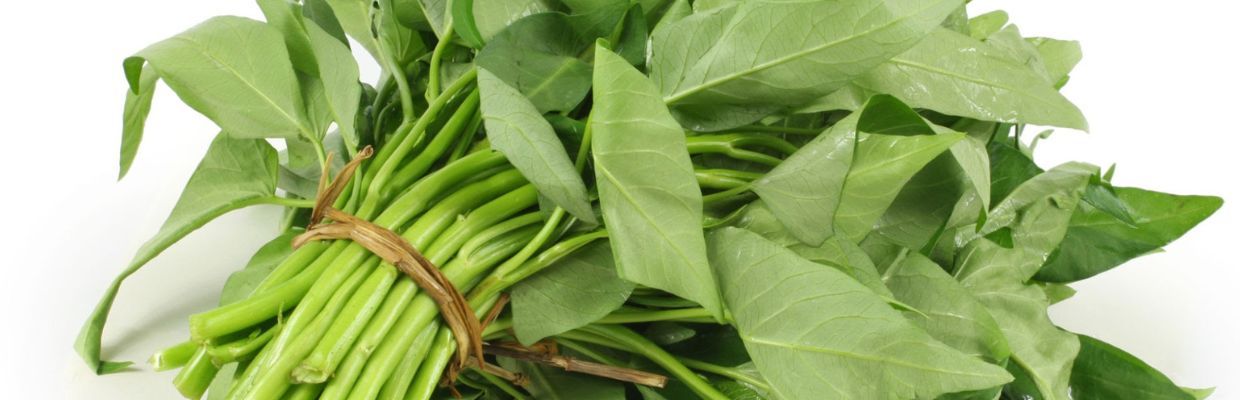 Nutritie: Kangkong, spanacul chinezesc. Beneficii pentru organism