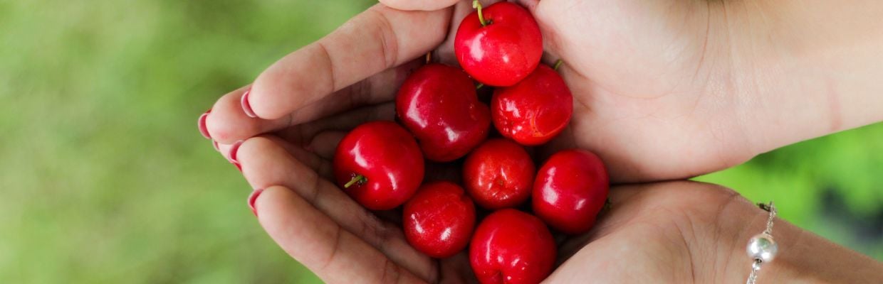 Acerola: Fructul exotic care ajuta la intarirea sistemului imunitar