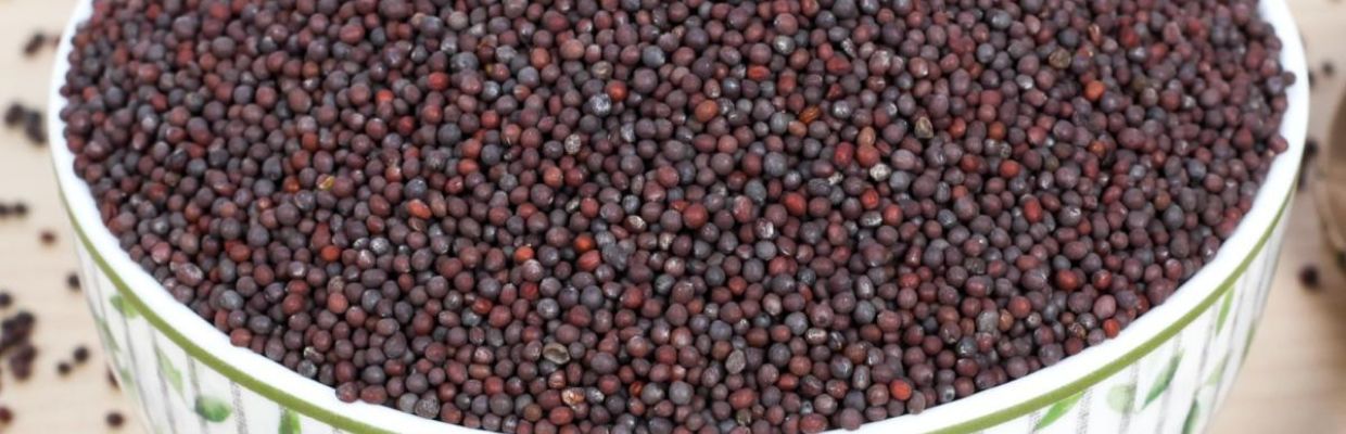 Mustarul negru: proprietati, beneficii, utilizare
