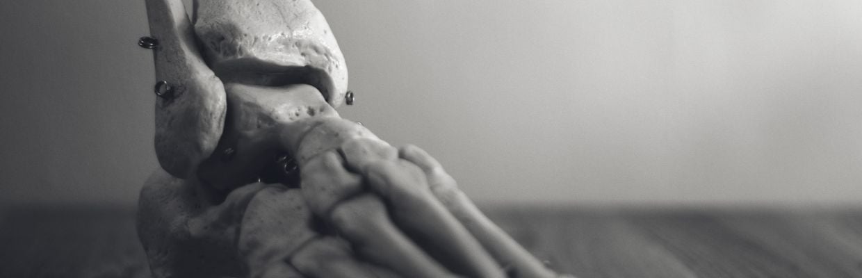 Sistemul osos: ce trebuie sa stii despre peroneu