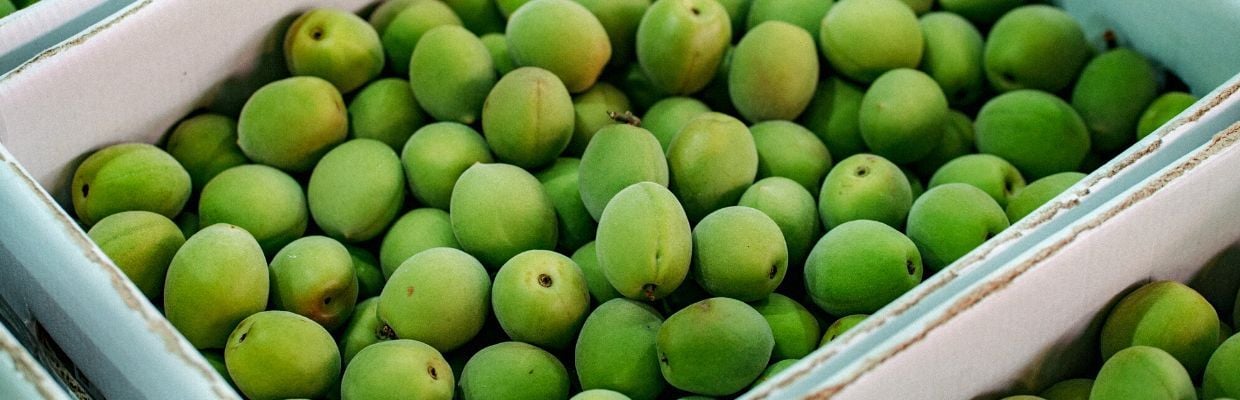 Nutritie: Beneficiile consumului de caise pentru organism