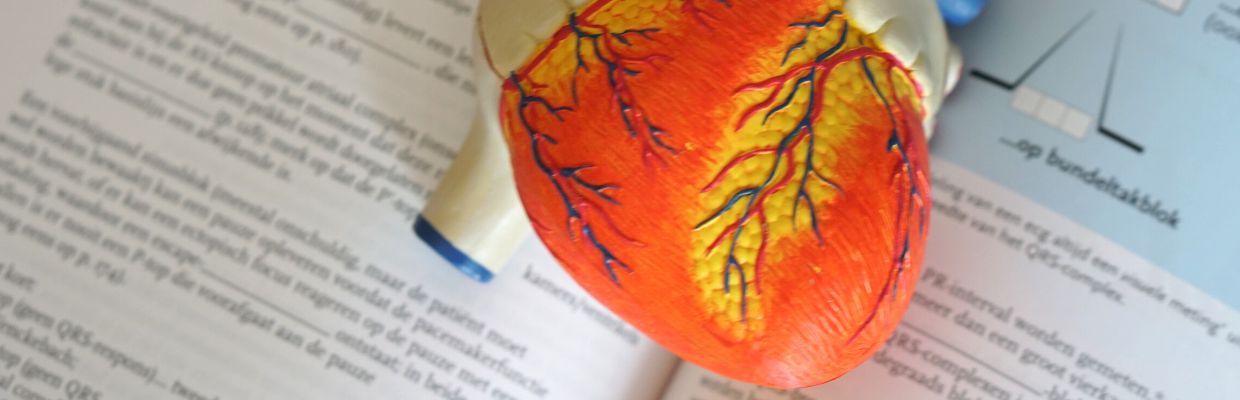 Sanatatea inimii: Totul despre capilare, cele mai mici vase de sange din organism
