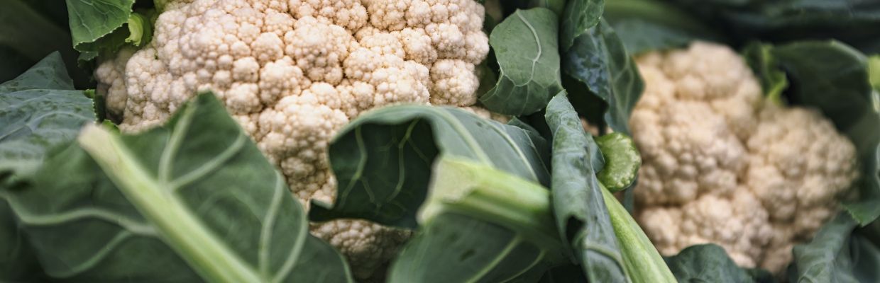 Conopida: Beneficii pentru organism, reguli de consum