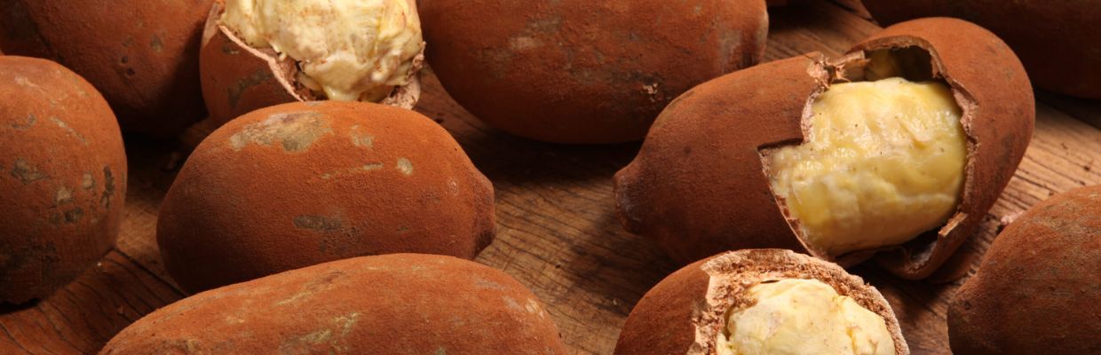 Cupuacu: Fructul minune al Braziliei, beneficii pentru sanatate