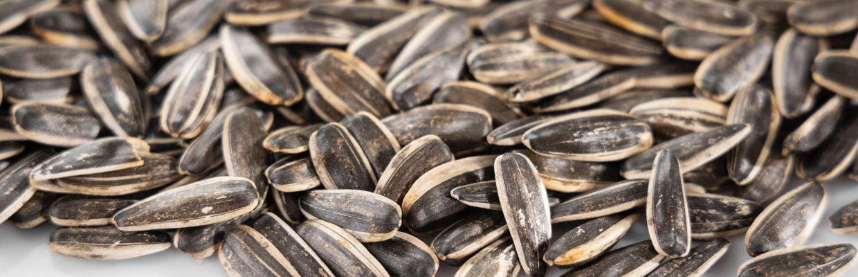 Nutritie: De ce ar trebui sa includem seminte de floarea soarelui in dieta noastra?