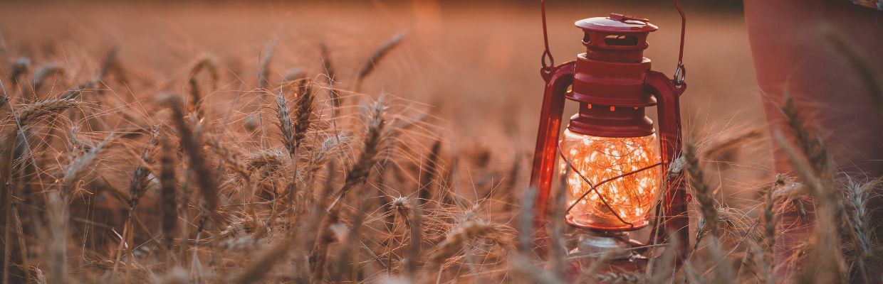Nutritie: Cum ajuta consumul de ovaz tranzitul intestinal