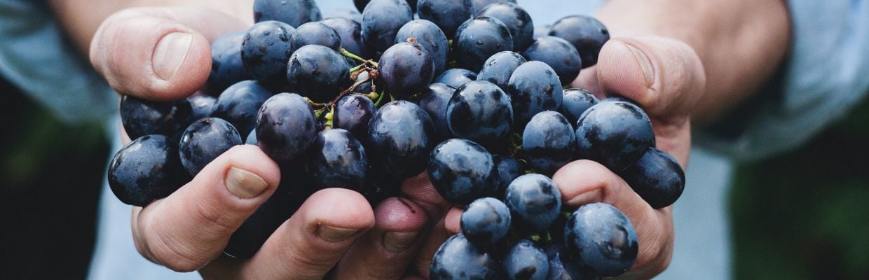 Nutritie: De ce se recomanda strugurii negrii pentru consum