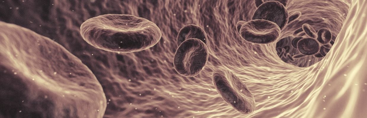 Vase limfatice: functiile acestora, posibile patologii, metode de preventie