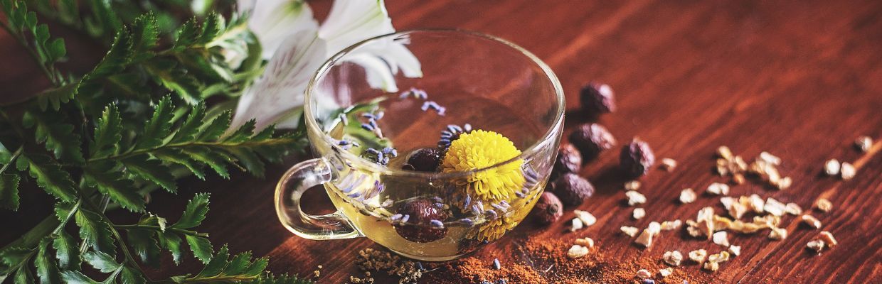 Ce beneficii are ceaiul de papadie pentru organism