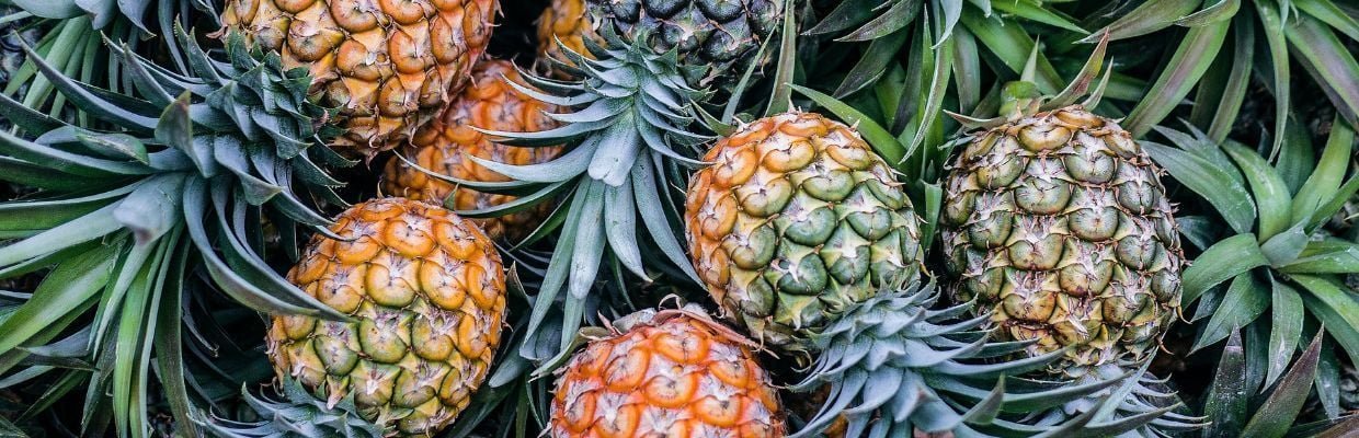 Bromelaina: O enzima din ananas cu multiple beneficii pentru sanatate