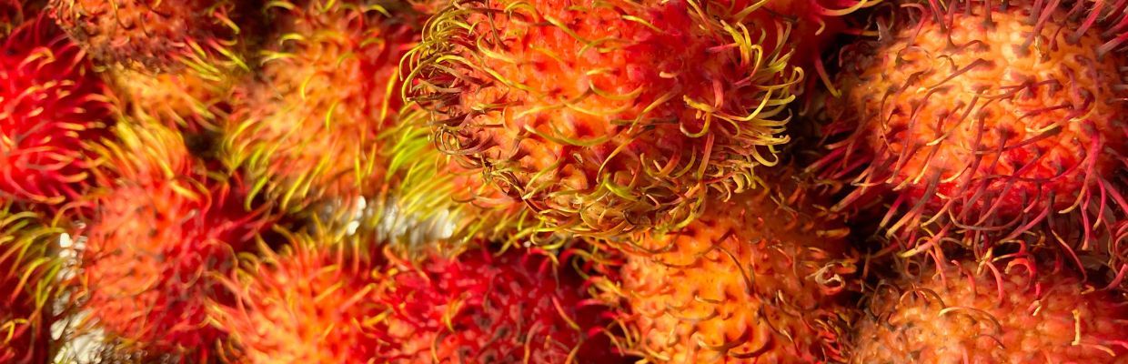 Rambutan: Un fruct din Asia cu multiple beneficii pentru organism