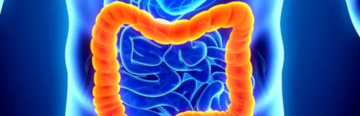 Intestinul gros: functiile organului si afectiuni asociate cu acesta