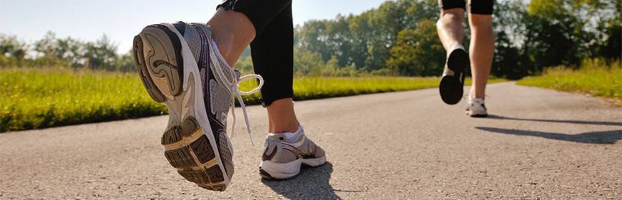 Anatomie: Ce este tibia si ce functii are în corp