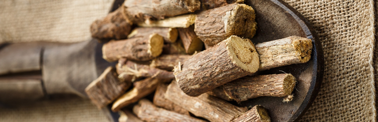 Radacina Kava: o planta cu efecte anxiolitice, sedative si relaxante