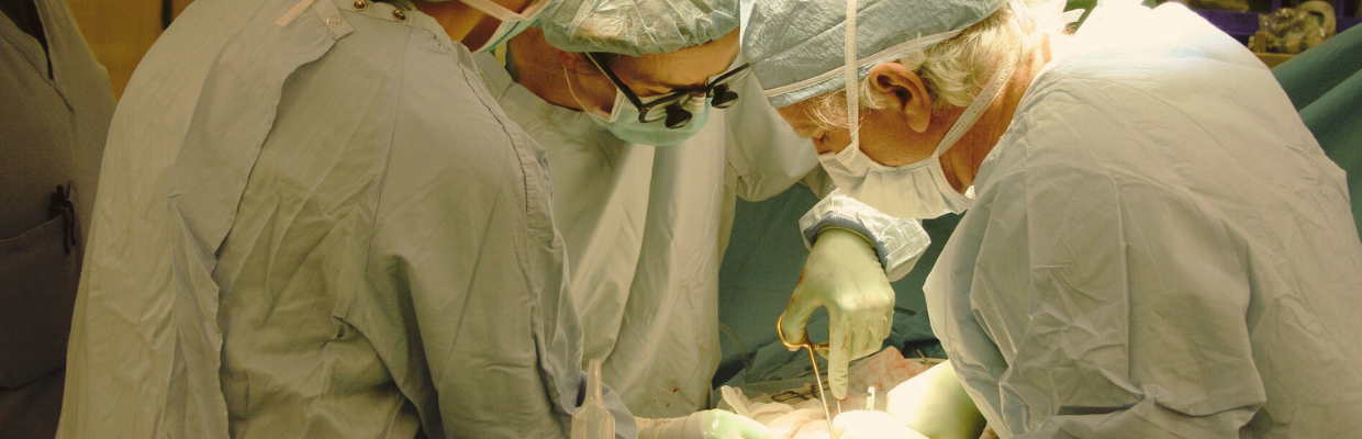 Hemangiomul hepatic: De ce apare, monitorizare si optiuni de tratament