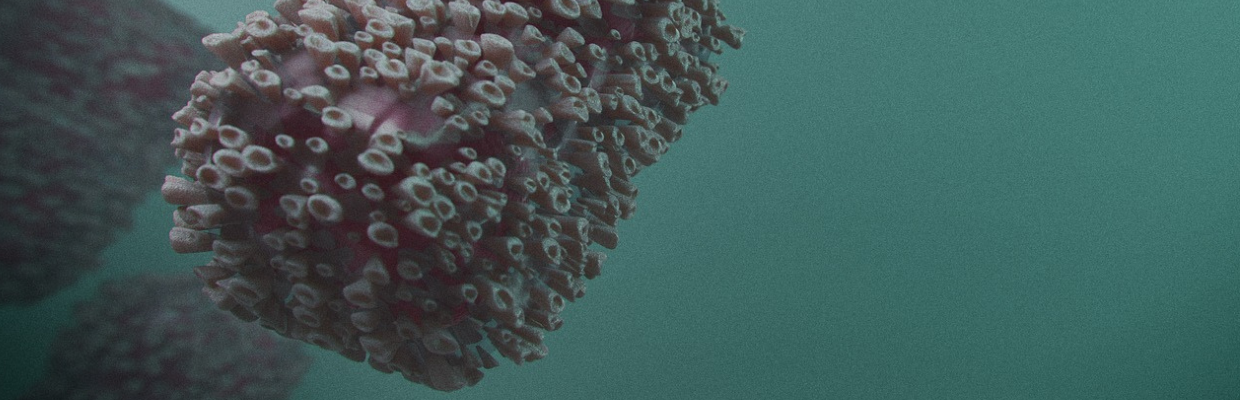Haemophilus: Cum recunosti aceasta bacterie si ce boli poate provoca