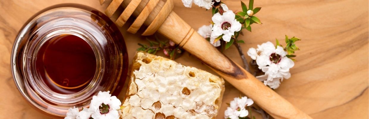 Arborele de Manuka - Minunea naturii de la Antipozi