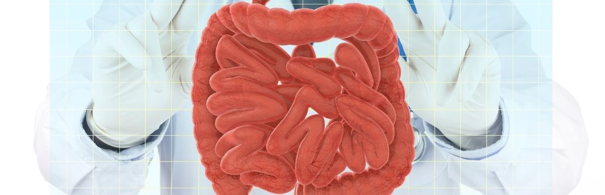 Cum ajuti la functionarea corecta a tranzitului intestinal?